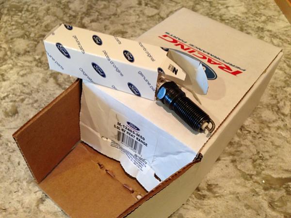 What did you do with your Mustang today?*-image-868371213.jpg