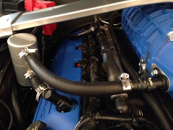 What did you do with your Mustang today?*-image-1138149872.jpg