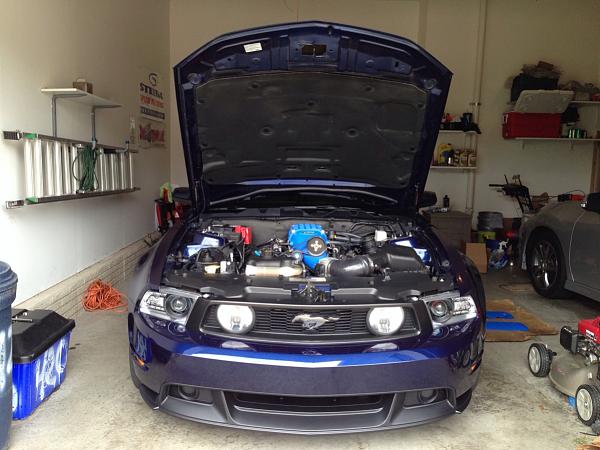 What did you do with your Mustang today?*-image-2379703611.jpg