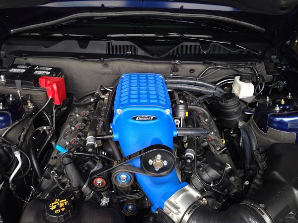 What did you do with your Mustang today?*-image-2418666484.jpg