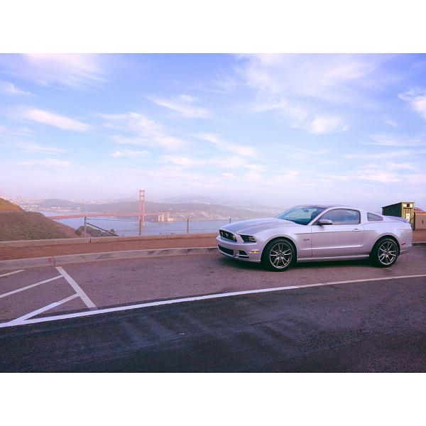 What did you do with your Mustang today?*-image-267966343.jpg