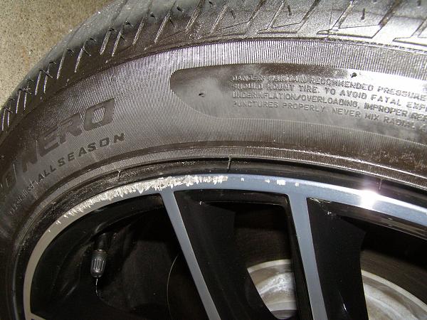 What did you do with your Mustang today?*-w3.jpg