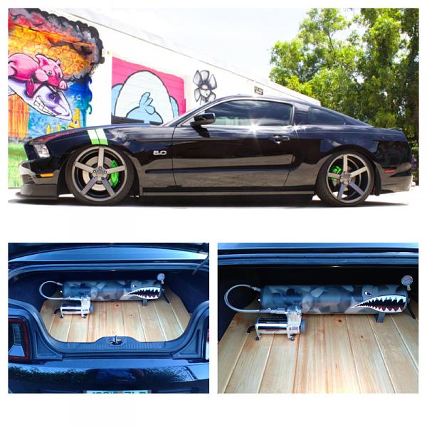 What did you do with your Mustang today?*-image-1606697357.jpg