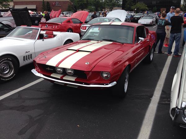 What did you do with your Mustang today?*-image-3806391322.jpg