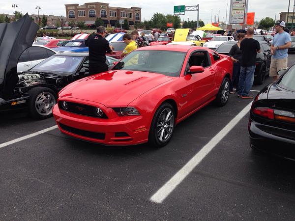 What did you do with your Mustang today?*-image-3413049455.jpg