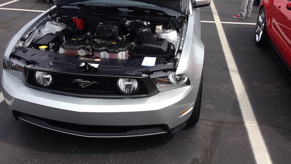 What did you do with your Mustang today?*-image-1107635886.jpg