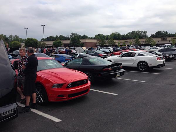 What did you do with your Mustang today?*-image-1761225591.jpg