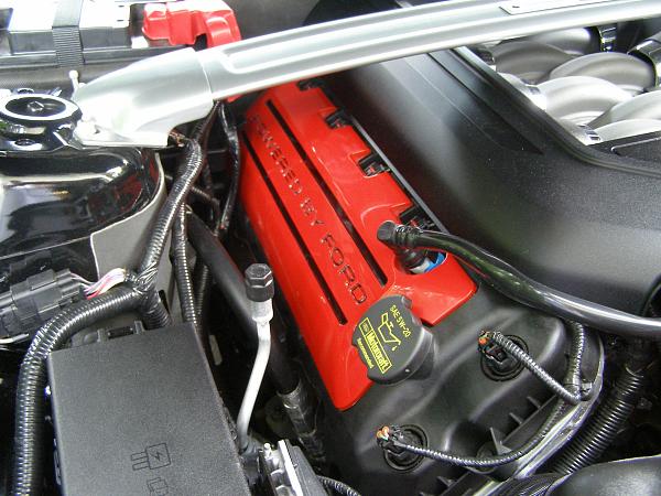 What did you do with your Mustang today?*-004.jpg