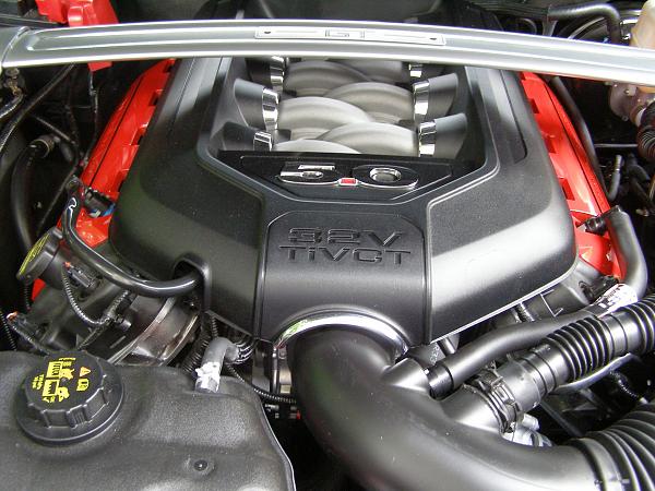 What did you do with your Mustang today?*-009.jpg