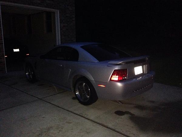 What did you do with your Mustang today?*-image-918482204.jpg