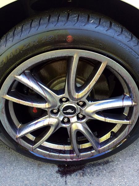 What did you do with your Mustang today?*-image-697414043.jpg