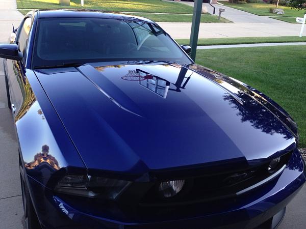 What did you do with your Mustang today?*-image-3636077627.jpg