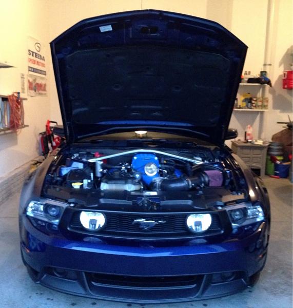 What did you do with your Mustang today?*-image-3978427289.jpg