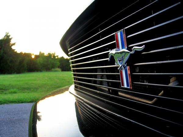 What did you do with your Mustang today?*-image-3796131022.jpg