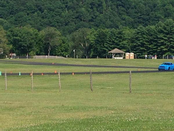 What did you do with your Mustang today?*-image-2122347497.jpg