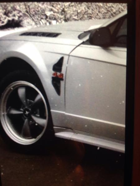 What did you do with your Mustang today?*-image-4010775234.jpg