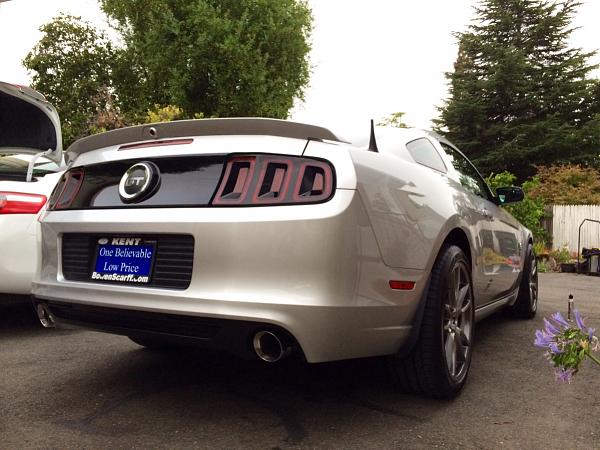 What did you do with your Mustang today?*-image-633512533.jpg