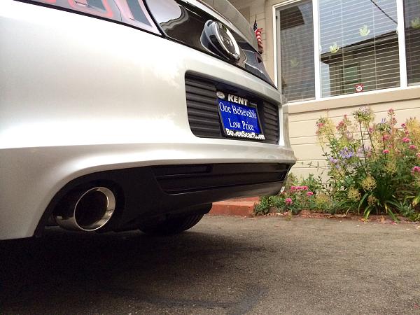 What did you do with your Mustang today?*-image-1556126713.jpg