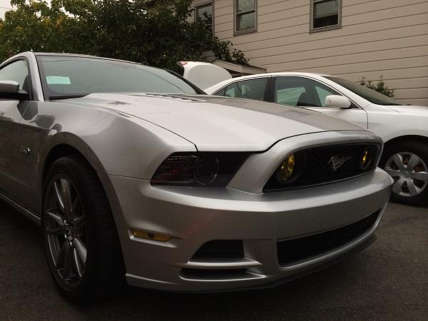 What did you do with your Mustang today?*-image-43885641.jpg