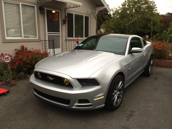 What did you do with your Mustang today?*-image-3182412990.jpg