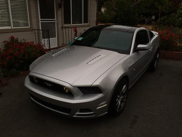 What did you do with your Mustang today?*-image-1316179821.jpg