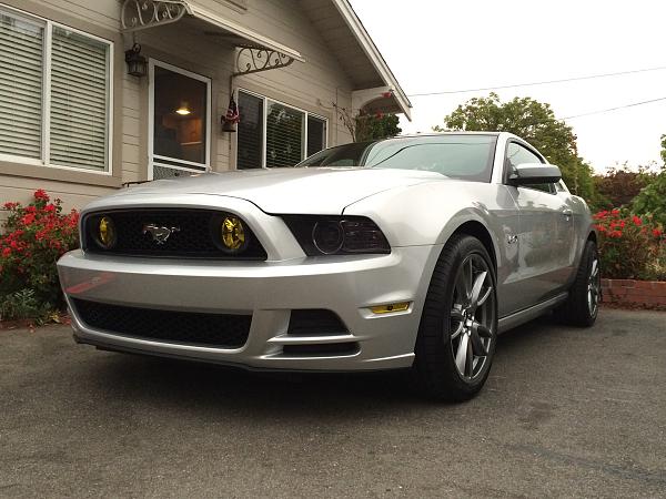 What did you do with your Mustang today?*-image-632607293.jpg