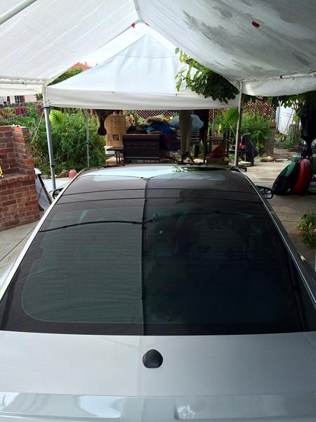 What did you do with your Mustang today?*-image-3515245755.jpg