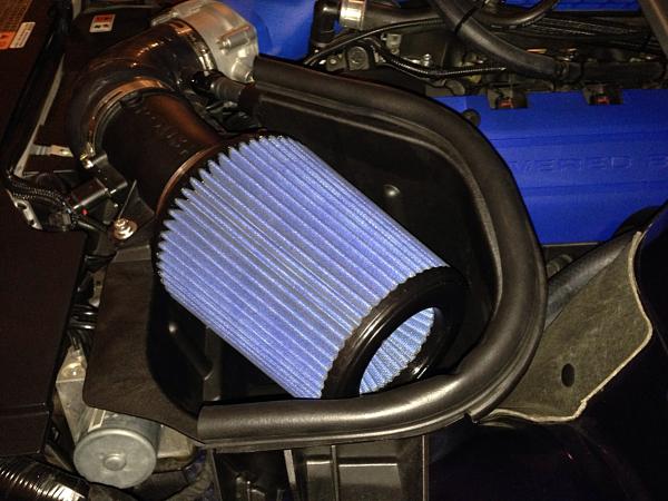 What did you do with your Mustang today?*-image-2770640753.jpg