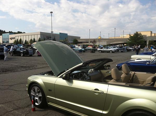 What did you do with your Mustang today?*-img_1301-1-.jpg