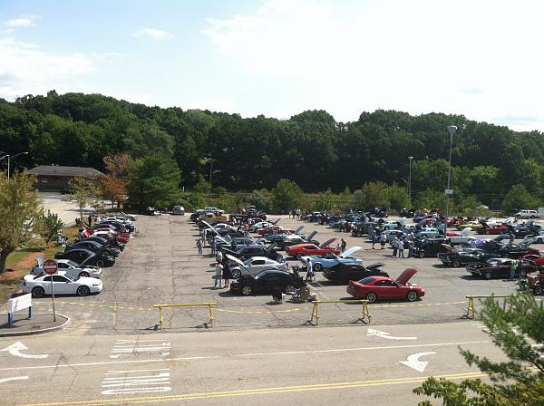 What did you do with your Mustang today?*-img_1310-1-.jpg