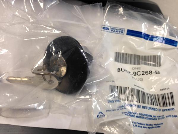 What did you do with your Mustang today?*-cap.jpg