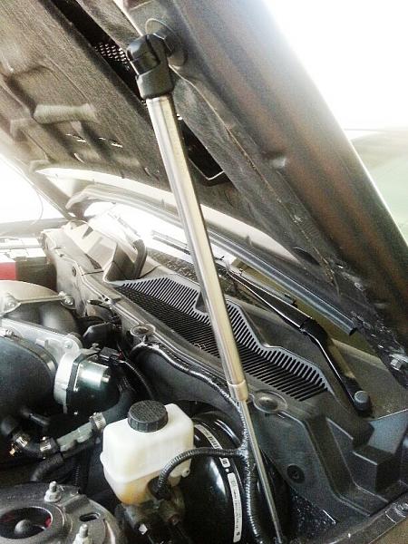 What did you do with your Mustang today?*-r1.jpg