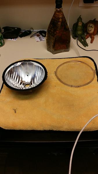 What did you do with your Mustang today?*-img_4348.jpg