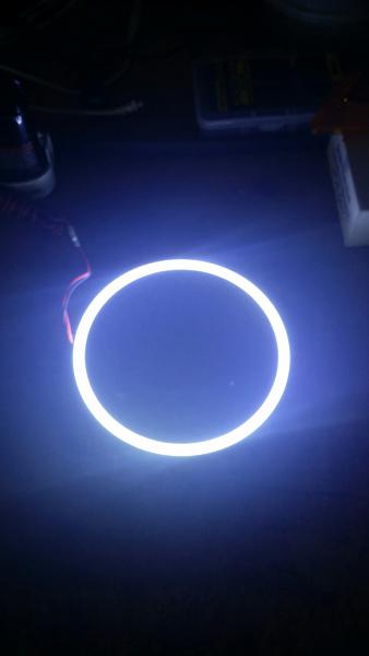 What did you do with your Mustang today?*-img_4350.jpg