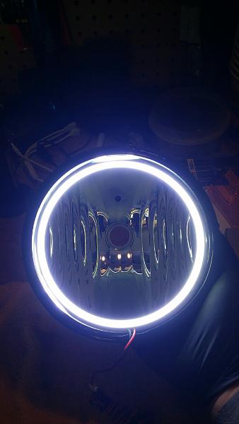 What did you do with your Mustang today?*-img_4352.jpg