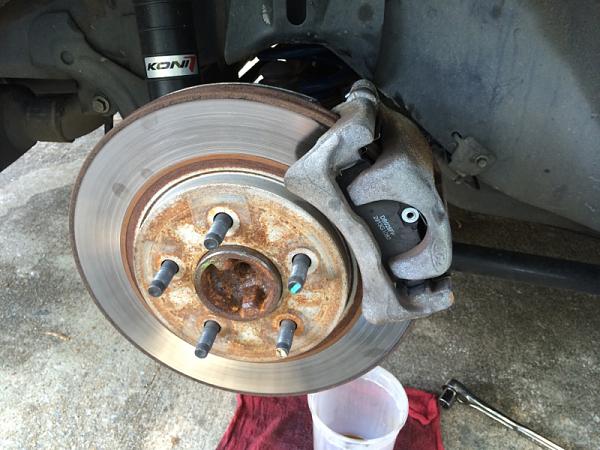 What did you do with your Mustang today?*-image-460746323.jpg