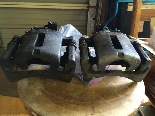 What did you do with your Mustang today?*-image-2287611442.jpg