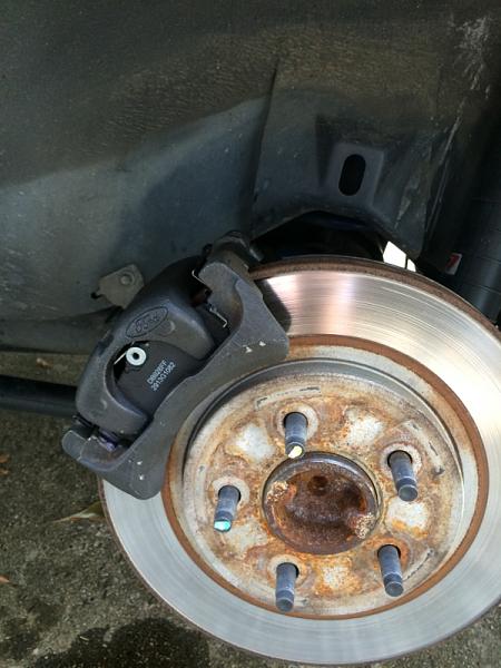 What did you do with your Mustang today?*-image-3753583607.jpg