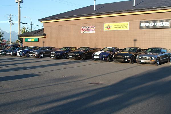 What did you do with your Mustang today?*-img_0205-midsize.jpg