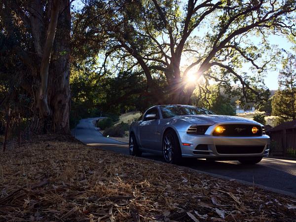 What did you do with your Mustang today?*-image-420145510.jpg