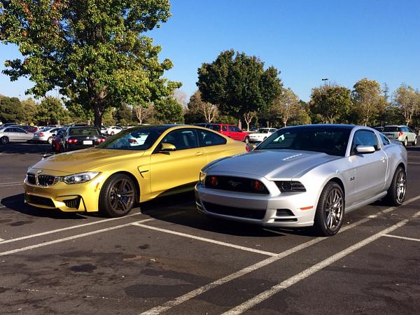 What did you do with your Mustang today?*-image-1614378405.jpg