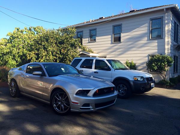 What did you do with your Mustang today?*-image-884257651.jpg