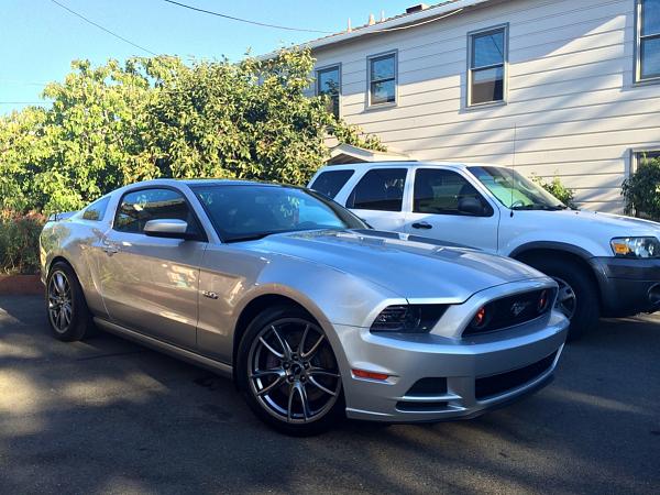 What did you do with your Mustang today?*-image-294179831.jpg