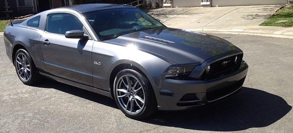 What did you do with your Mustang today?*-image.jpg