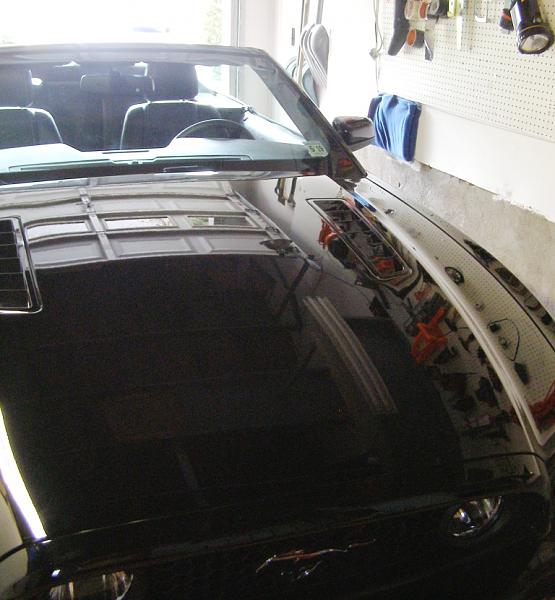 What did you do with your Mustang today?*-009.jpg