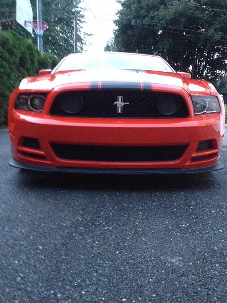 What did you do with your Mustang today?*-image-4220282527.jpg