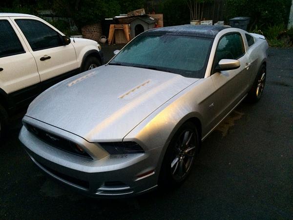 What did you do with your Mustang today?*-image-2525701972.jpg