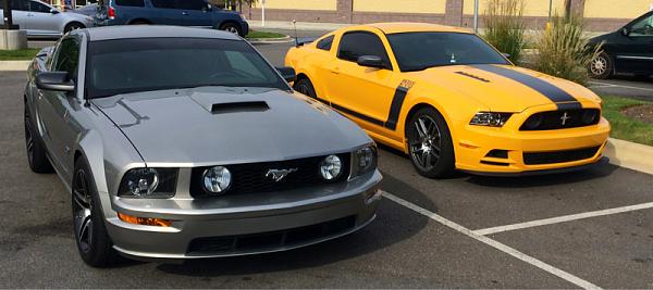 What did you do with your Mustang today?*-image-2789575968.jpg