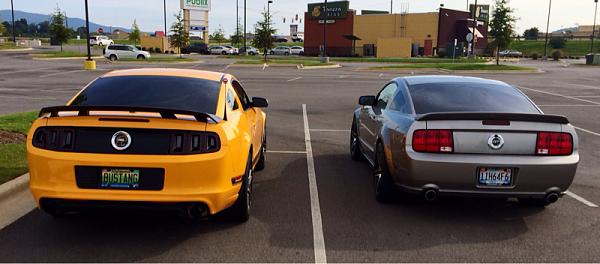 What did you do with your Mustang today?*-image-3348428853.jpg