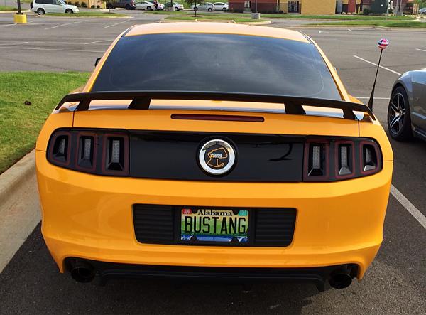 What did you do with your Mustang today?*-image-3477651119.jpg